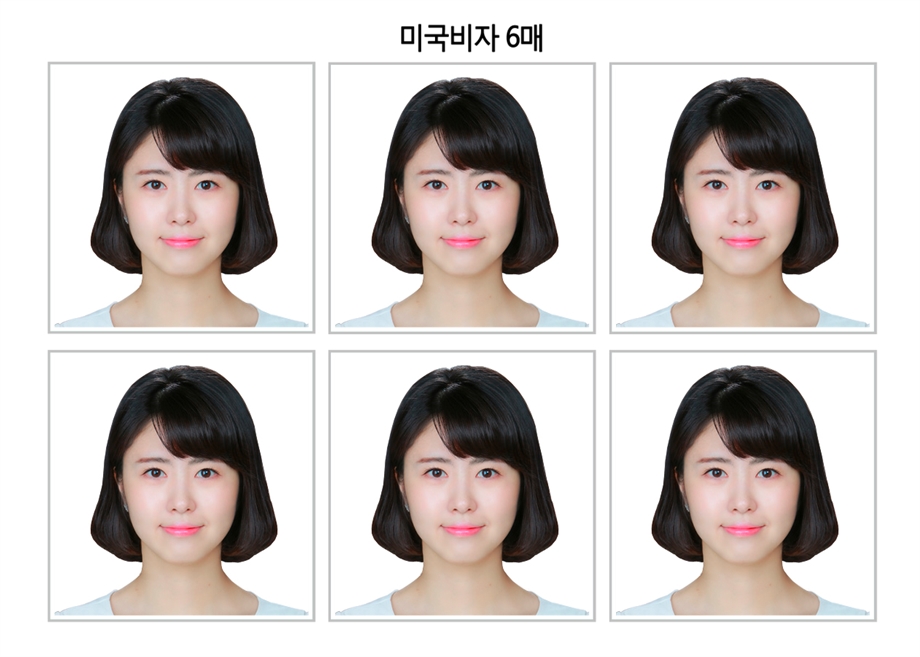 미국비자6매