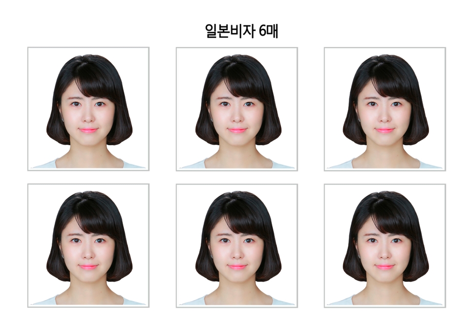 일본비자6