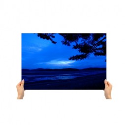 large picture 16X20