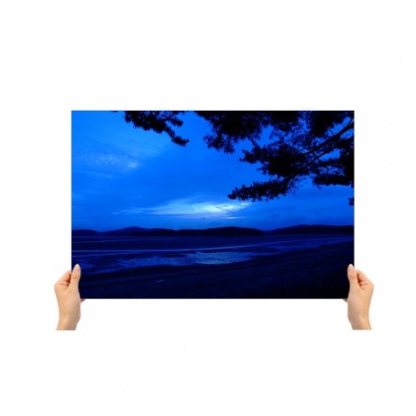 large picture 16X20 large picture 16X20