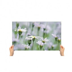 large picture 15X20