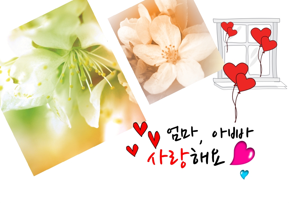 감사의마음