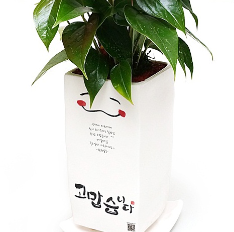 고맙습니다_화분