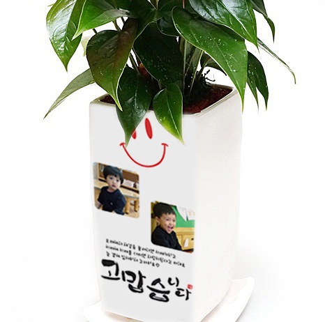 고맙습니다_화분2
