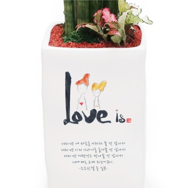 사랑이란