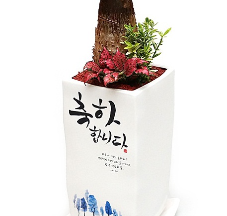 축하