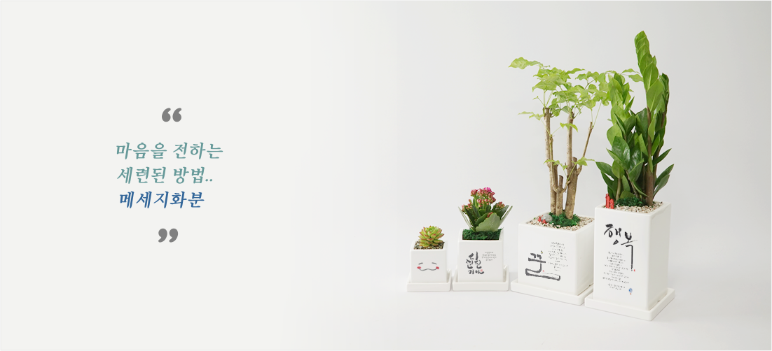 치클포토 Header